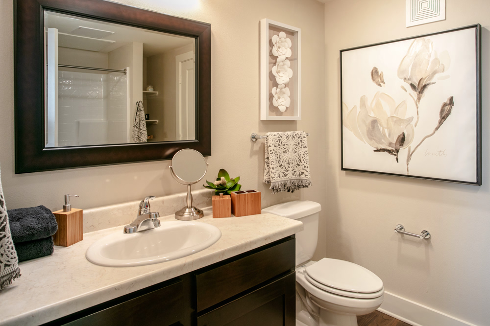 Apartment interior